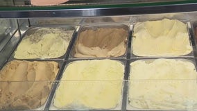 Adventurous ice cream flavors at Houston's Craft Creamery