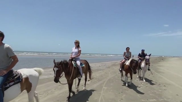 How you can spend your summer riding horses, seeing dolphins in Galveston