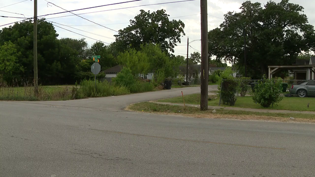 Dog shot after biting HPD officer several times near Galena Park