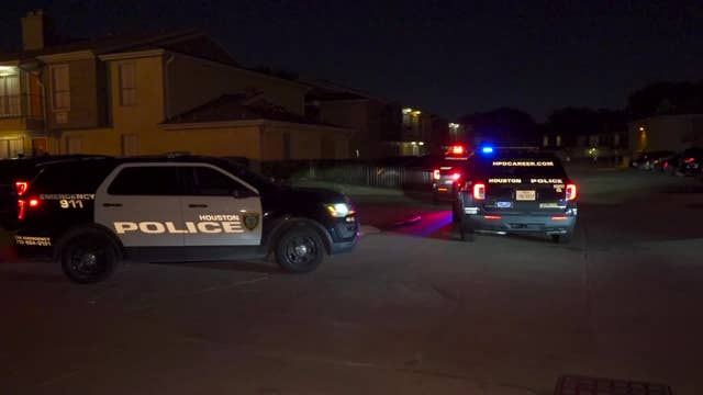 Woman stabbed boyfriend to death at SE Houston apartment, police say