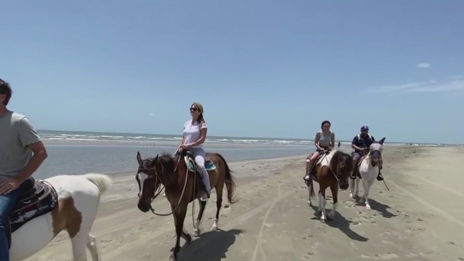 Galveston Texas horse ride