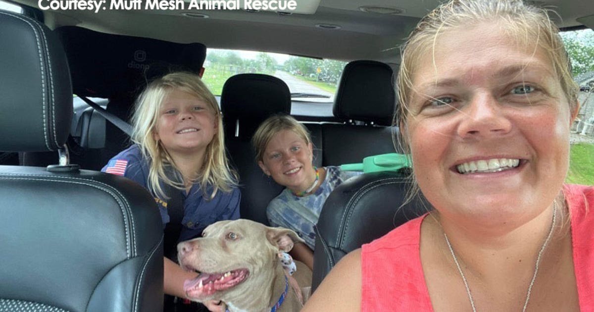 Area family reunited with dog that went missing 5 years ago | FOX 26 ...