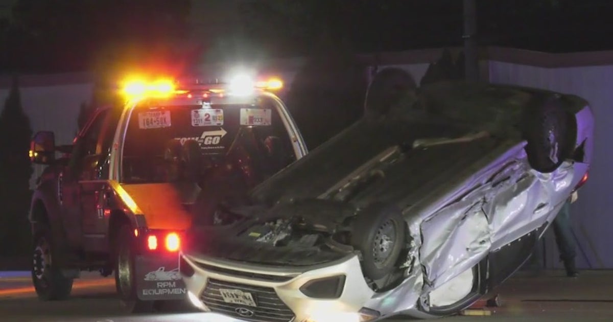 Chase suspect taken down by K9 after shooting at deputies, crashing car ...