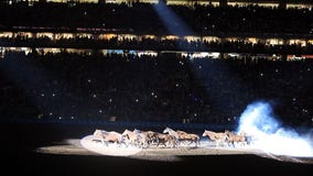 Houston Rodeo season tickets: Price, when they go on sale, how to buy