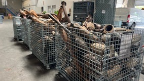 Authorities bust recycling company that allegedly paid for stolen catalytic convertors