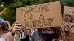 Will strict anti-abortion laws have an impact on the Texas economy - What's Your Point?