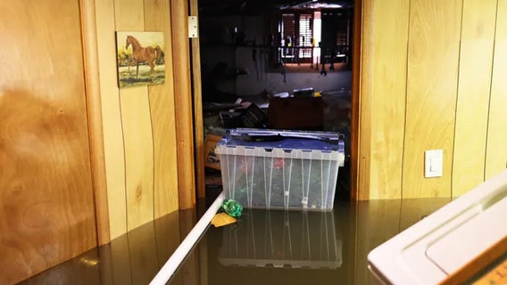 FEMA flood insurance: Comparing the pros and cons of flood insurance options