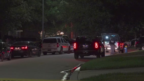Teen boys shot in head in attempted murder-suicide, HCSO says