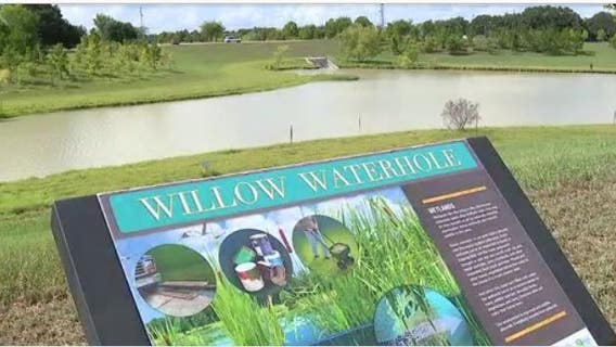 Why flood-weary Houston needs more willow water holes