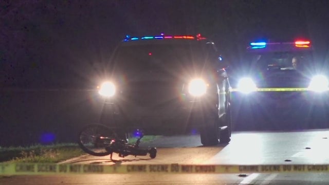 Man found dead in Channelview road after possible dog attack: HCSO