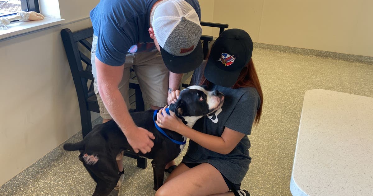 Rescued dog reunites with family after being lost for nearly 2 years ...