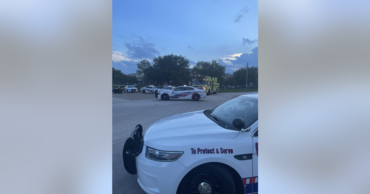 Expectant mother shot to death by occupants in passing vehicle in North ...