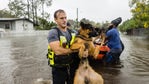 'Pets are family. Period': Photos show Florida animals rescued from Hurricane Ian floodwaters
