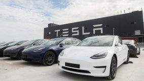 Tesla recalling 1.1 million vehicles to fix faulty window reversing system