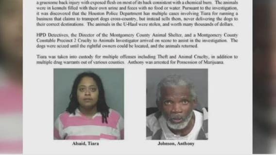 Dog transporter arrested after stolen animals found malnourished, injured in U-Haul Van