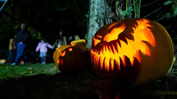 House of Spirits in Houston to kick off Halloween season with immersive party, cocktail soirée