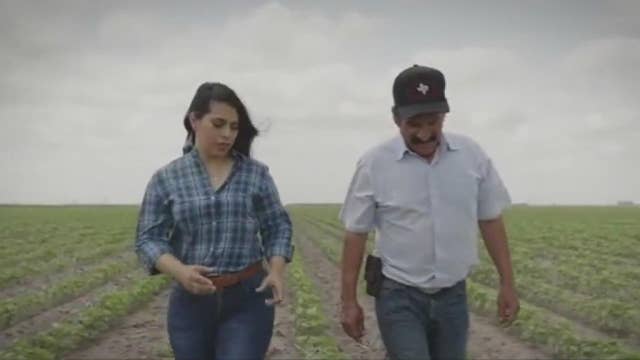 Latino voters leaning towards Mealer for County Judge according to UH-Hobby poll - What's Your Point?