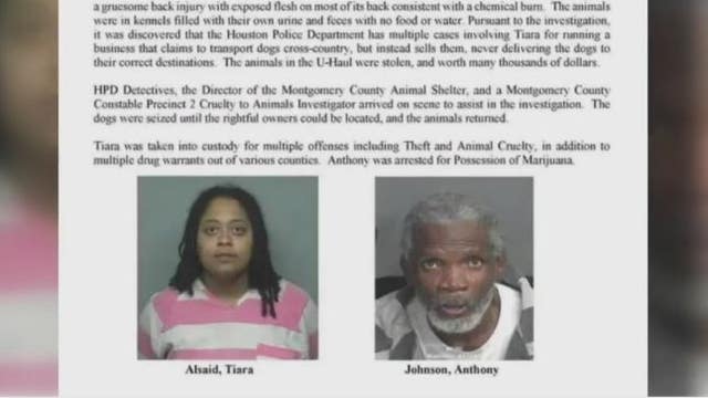 Dog transporter arrested after stolen animals found malnourished, injured in U-Haul Van