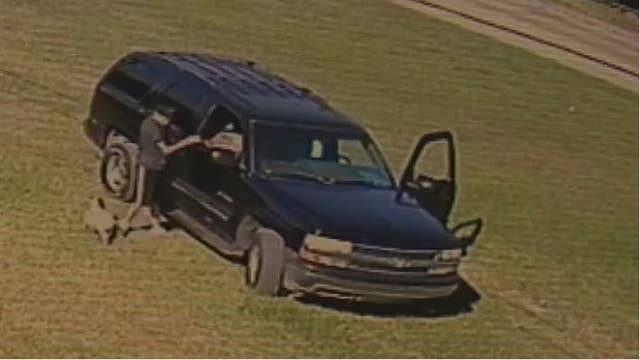 Teenager seen on surveillance video stealing 2 French Bulldogs from northwest Harris Co. family