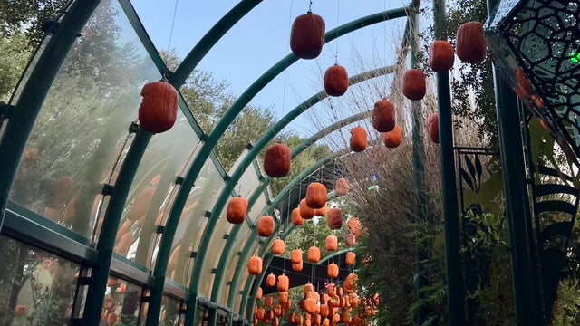 Things to do in the Houston area this weekend: September 30 - October 2