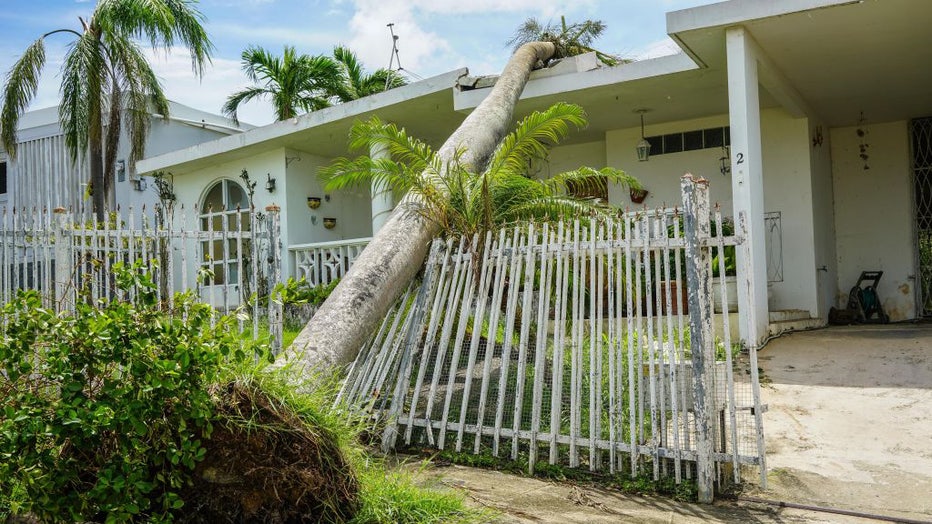 Tree-falls-on-house-Hurricane-Maria.jpg