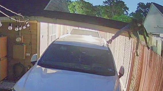 Family of Arlene Alvarez victims of crime again months after daughter was murdered