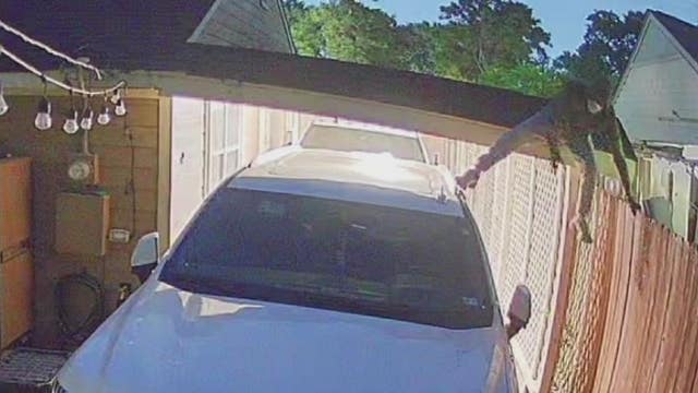 Family of Arlene Alvarez victims of crime again months after daughter was murdered