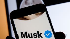 Elon Musk says impersonator Twitter accounts will be permanently suspended