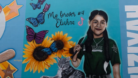 Mother of 10-year-old Uvalde shooting victim sues school district, police and gun manufacturer
