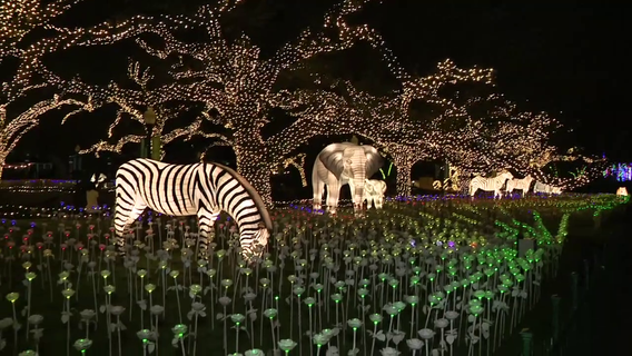 Where to see Christmas lights in Houston?