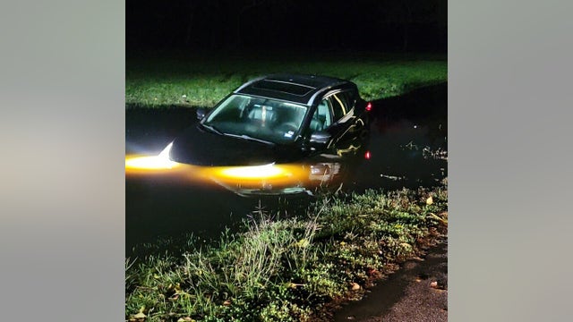 Woman, dog rescued after she drove car into ditch, was submerged in water