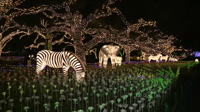 Where to see Christmas lights in Houston?