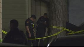 8-year-old girl was in the car when her mom was killed in 1 of 2 Houston murder-suicides