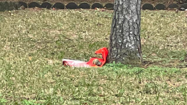 Hand grenade found inside home in north Houston, bomb squad called