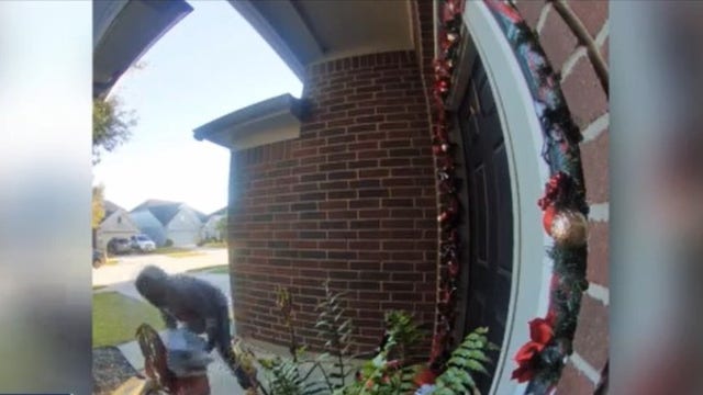 Porch pirates striking this holiday season in Harris County, some will be surprised