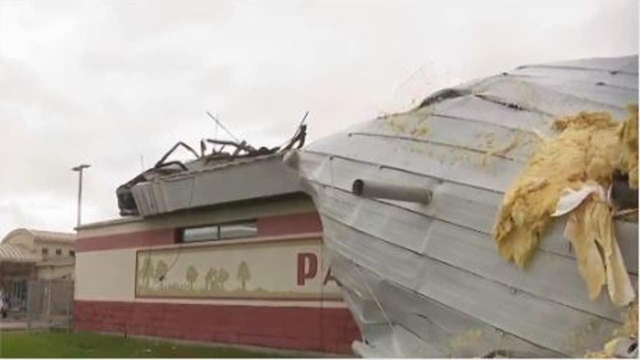 Houston-area pet lovers rush to rescue after tornado ravages Pasadena Animal  Shelter – Houston Public Media