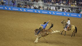 Houston Rodeo 2023 tickets on sale Jan. 12: Where to buy, how much are tickets?