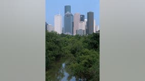 Houston ranked dirtiest city in America, according to survey
