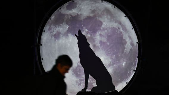 Wolf moon: What is it?, First full moon of the year