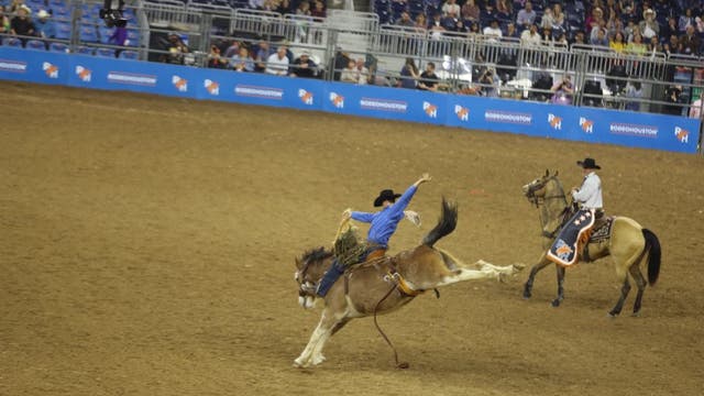 Houston Rodeo 2023 tickets on sale Jan. 12: Where to buy, how much are tickets?