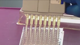 University of Houston researchers working on anti-fentanyl vaccine