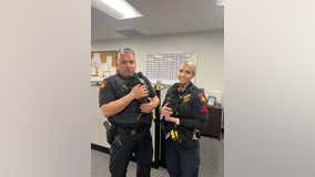 Harris County Constables rescue, adopt puppies found in roadway