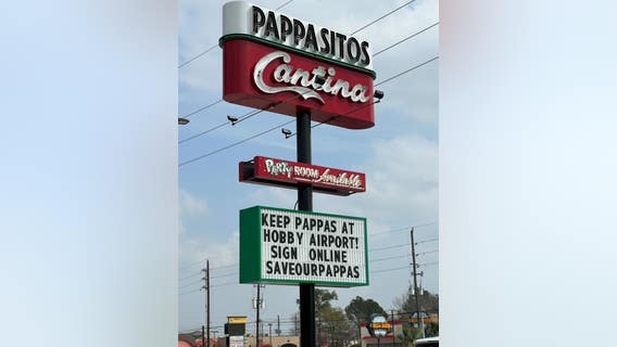 Houston City Council votes to remove Pappas from Hobby Airport