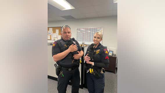 Harris County Constables rescue, adopt puppies found in roadway