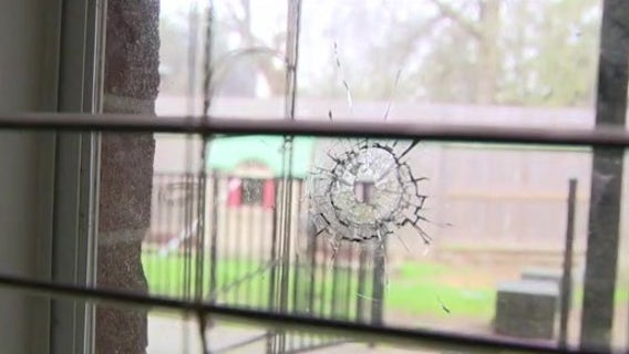 Man upset about neighbor’s dogs ‘barking all day’ makes court appearance after shooting through front door