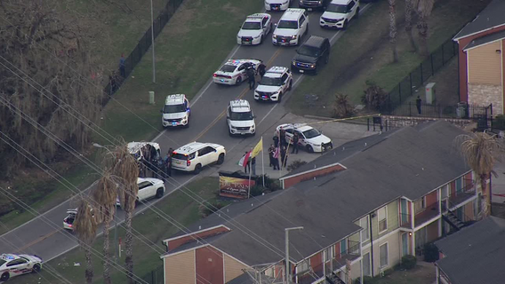 Harris Co. Constable fires weapon on 1 carjacking suspect, later taken to hospital