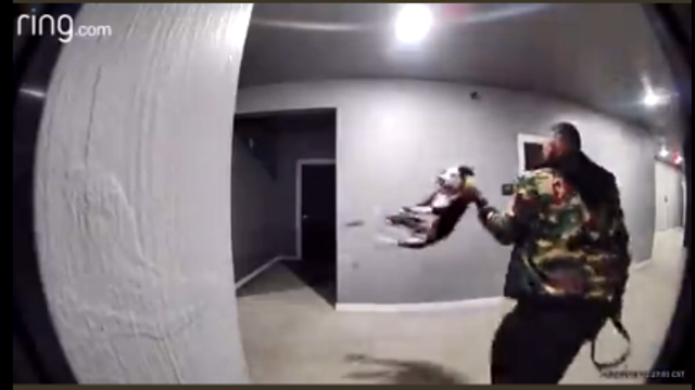 Ring doorbell captures puppy abuse in northwest Houston, animal rescued