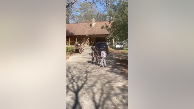 2-year-old Siberian Husky kicked, punched in front of young child, rescued by Houston SPCA