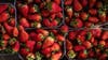 LIST: Where to pick your own strawberries, fruit & flowers this spring