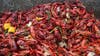 Where to get crawfish around Houston?